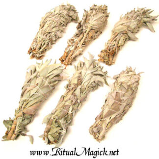 Large White Sage Smudge