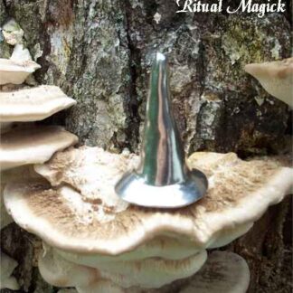 Altar Witch Hat